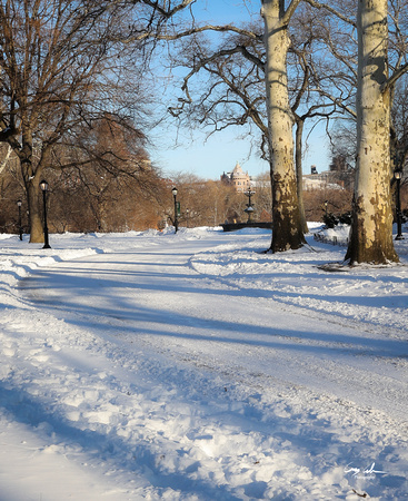 Central Park Snow (311 of 97)