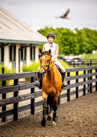 Sasha Behrens Horseback riding BH-10
