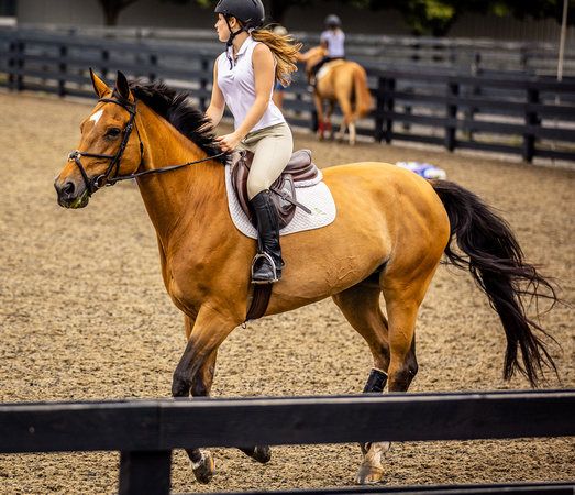 Sasha Behrens Horseback riding BH-40