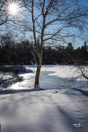 Central Park Snow (318 of 97)