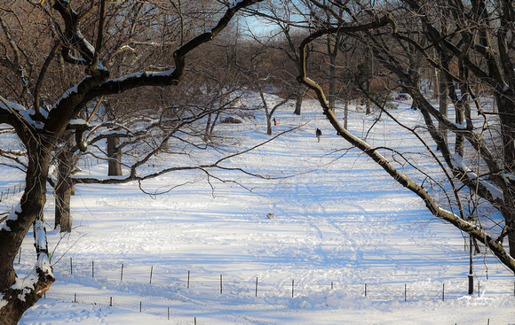 Central Park Snow (322 of 97)