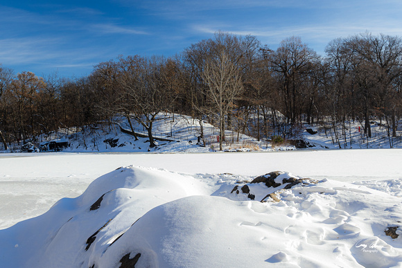 Central Park Snow (341 of 97)