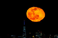 Moon Behind Freedom Tower-412