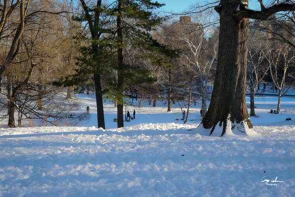 Central Park Snow (306 of 97)