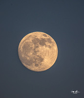 Moon over Hudson Yards Edge-289