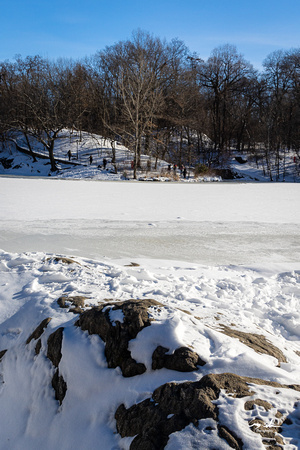 Central Park Snow (348 of 97)