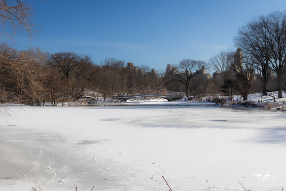 Central Park Snow (361 of 97)